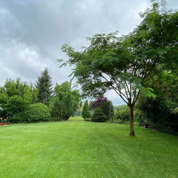 107604481_2764273840563678_5987360608813420908_n