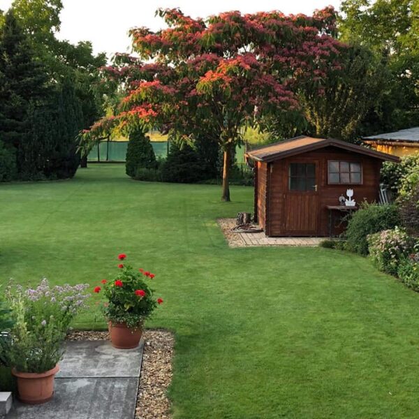 107629176_2764273250563737_6473793127561039807_n