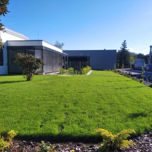 120309944_2841858169471911_9086943109915411327_n