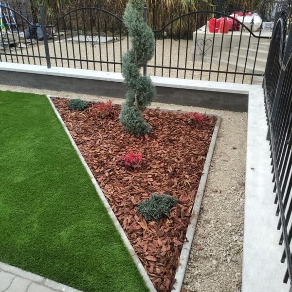 127196985_2897061287284932_912290228817024864_n