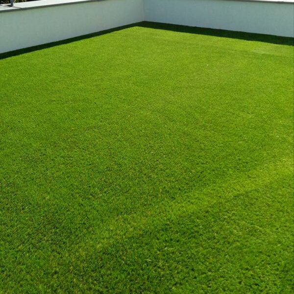 19665231_1882336372090767_7213249202119530649_n