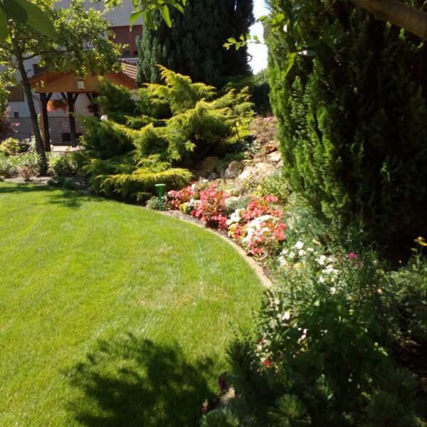 19748363_1884155665242171_3440705486694759697_n