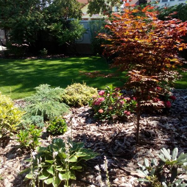 19756689_1884155761908828_6429914246969311262_n