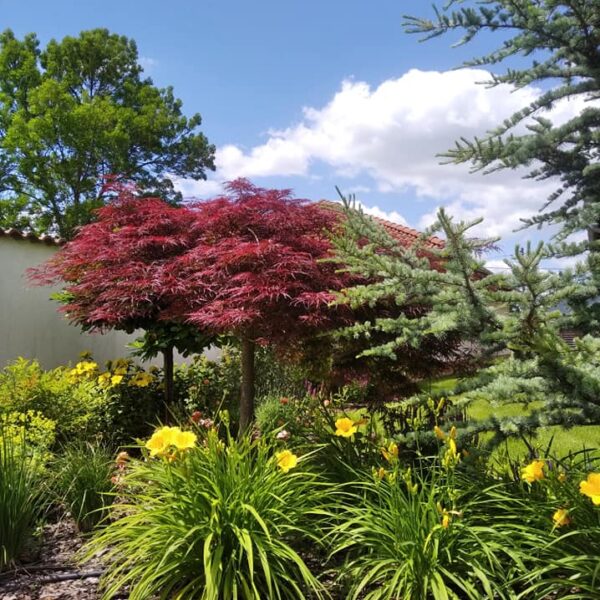 199848562_3063085670682492_8322493599485405110_n