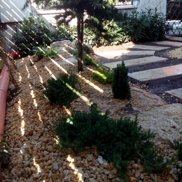 20228781_1911449062512831_1569009593817904927_n