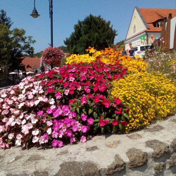 20622205_1903376149986789_4136157332889116551_n