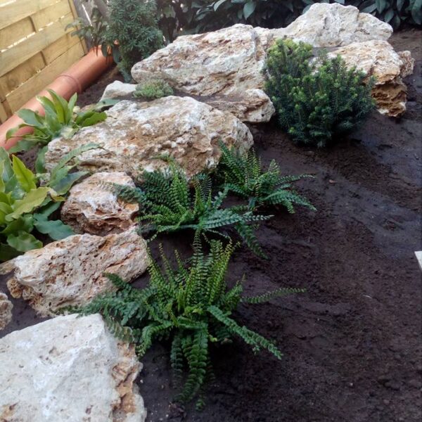 20992603_1911449492512788_6383023864166619599_n