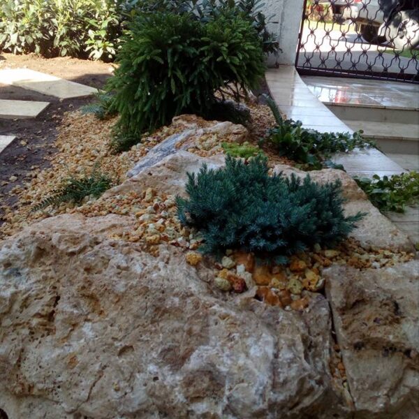 20992701_1911449409179463_5297820649287321441_n