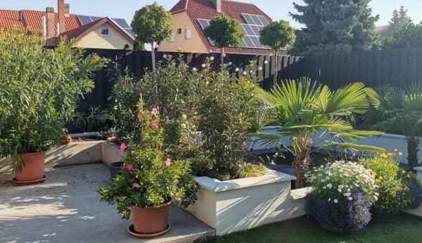 248695778_3175061546151570_1873295533689302883_n