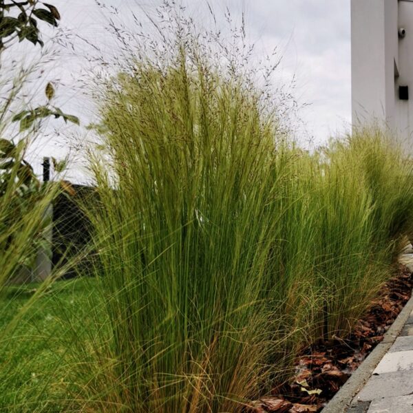 284952886_3339595983031458_7094509859107382205_n