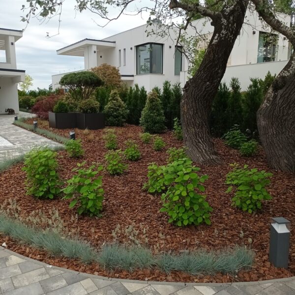 284986824_3339595219698201_1840000210641676754_n