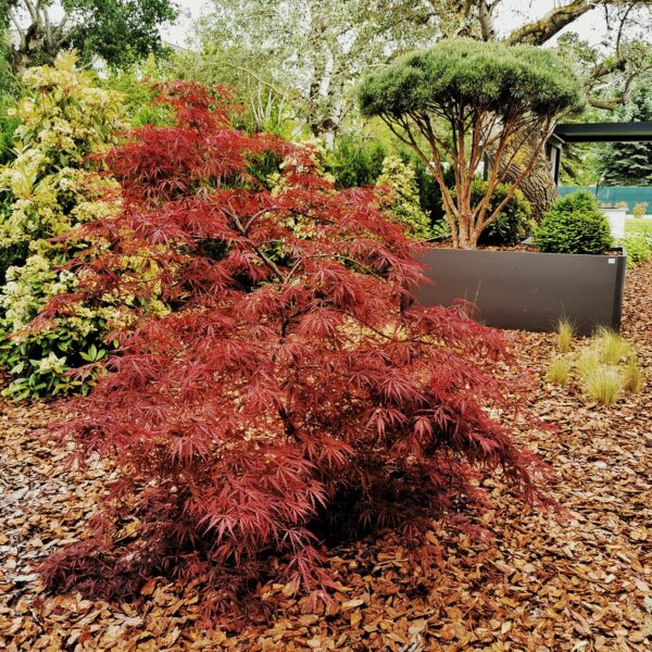 285070452_3339595363031520_5257231232130908862_n