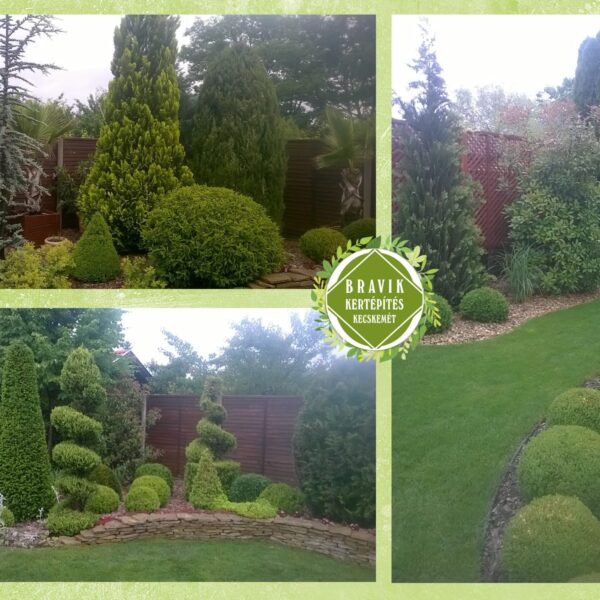 28698915_2017046578619745_5274475826154405423_o