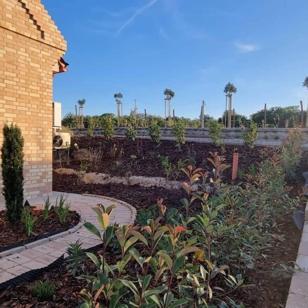 309718811_797547521340525_7216283997500987043_n