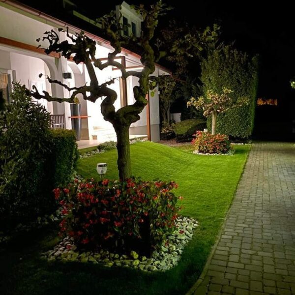 311498825_818832792545331_7761248116897776996_n