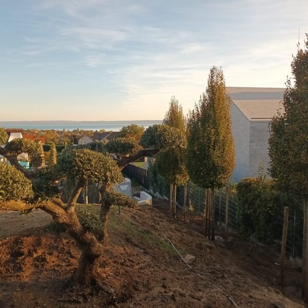 311520164_816203416141602_276497388619566779_n