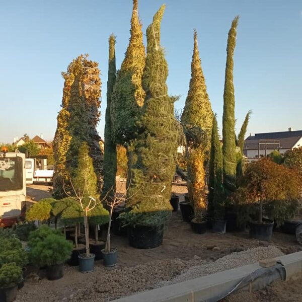 312108200_816202979474979_3086245923131002209_n