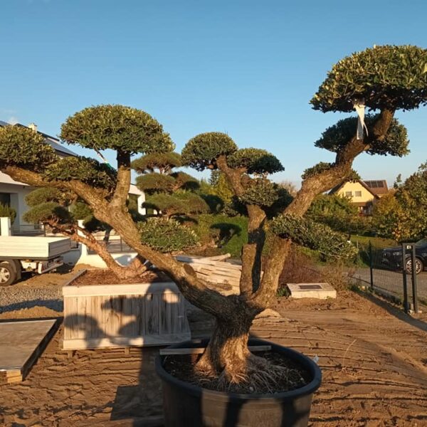 312442712_816202716141672_5437612012585585370_n