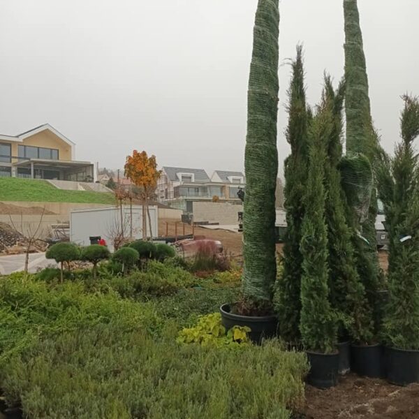 314511989_828815354880408_5148764862288248542_n