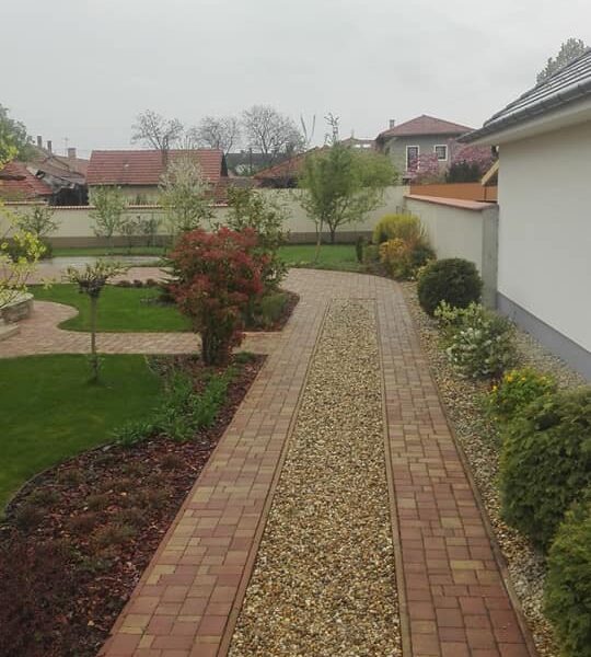 57591617_2315387165452350_6719891048044167168_n