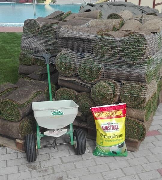 60767788_2346693022321764_3513828769104134144_n