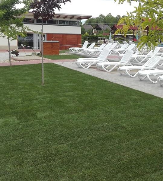 61179885_2346693435655056_497776753872207872_n